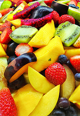 fruit rolfekolbe